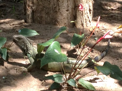 "I live for the aplause-plause, Live for the aplause-plause..."