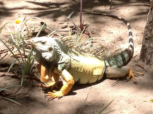 "Look at that body... Ah... I work out...."