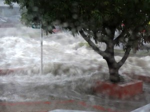 The arroyo at the corner of CR 47, our street, and CL 85, the nearest cross-street. The wall that is submerged behind the tree is probably five feet tall.